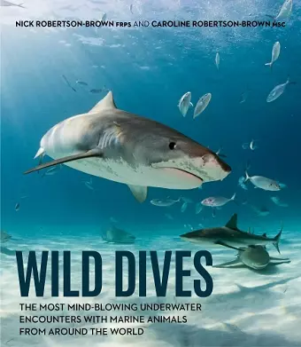 Wild Dives cover