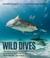 Wild Dives cover