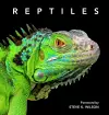 Reptiles cover