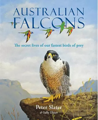 Australian Falcons cover