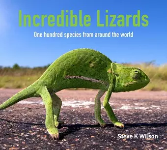 Incredible Lizards cover