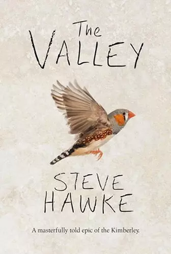 The Valley cover