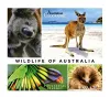 Wildlife of Australia cover