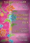 Amcham, Apasair, Bila or How, Why, When cover