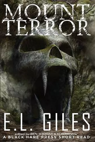 Mount Terror cover