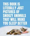 This Book Is Literally Just Pictures of Snoozy Animals That Will Make You Sleep Better cover
