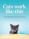 Cats Work Like This cover