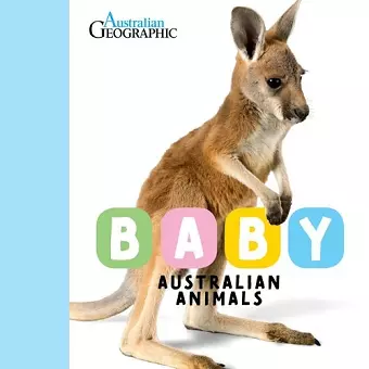 Baby Australian Animals cover