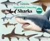 Australia's Amazing Sharks cover