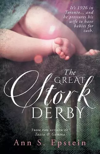 The Great Stork Derby cover