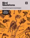 Bird Skeletons cover