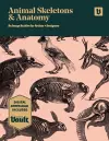 Animal Skeletons and Anatomy cover