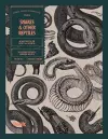 Snakes and Other Reptiles cover