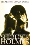 The Complete Illustrated Novels of Sherlock Holmes cover