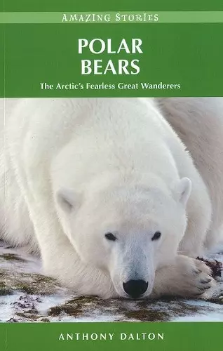 Polar Bears cover