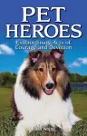 Pet Heroes cover