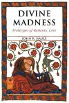 Divine Madness cover