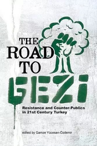 The Road to Gezi cover