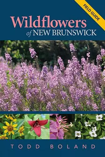 Wildflowers of New Brunswick cover