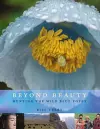 Beyond Beauty cover