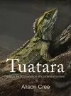 Tuatara cover