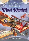 Flying Furballs 4: Most Wanted cover