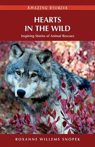 Hearts in the Wild cover