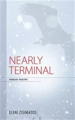 Nearly Terminal cover