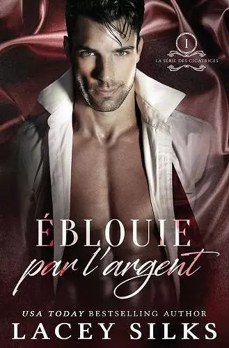 Éblouie par l'Argent cover