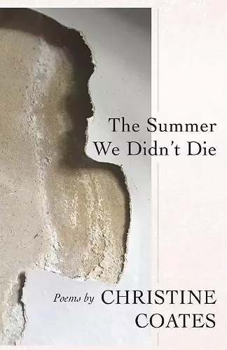 The Summer We Didn't Die cover
