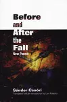 Before and After the Fall cover