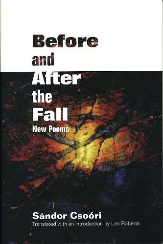 Before and After the Fall cover