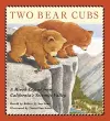 Two Bear Cubs cover