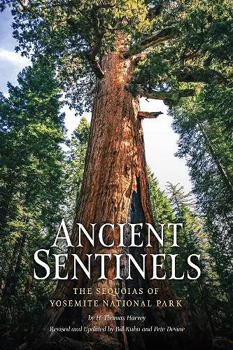 Ancient Sentinels: The Sequoias of Yosemite National Park cover