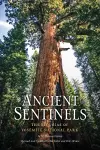 Ancient Sentinels: The Sequoias of Yosemite National Park cover