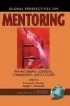 Mentoring from an International Perspective cover