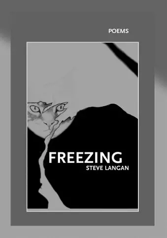 Freezing cover