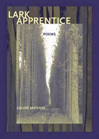 Lark Apprentice cover