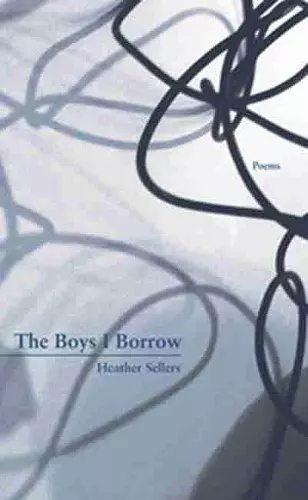 The Boys I Borrow cover