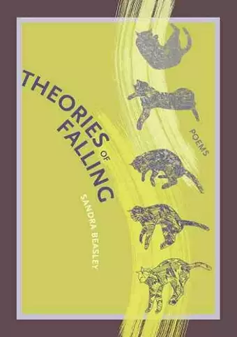 Theories of Falling cover