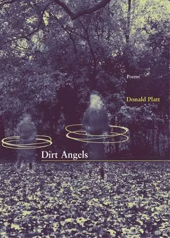 Dirt Angels cover