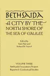 Bethsaida: A City by the North Shore of the Sea of Galilee, Vol. 3 cover