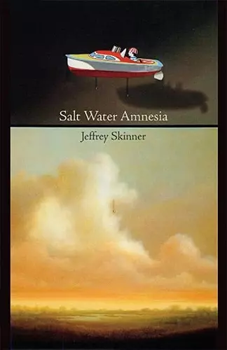 Salt Water Amnesia cover