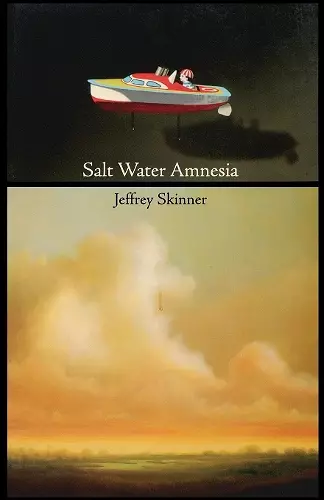 Salt Water Amnesia cover