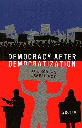 Democracy after Democratization cover