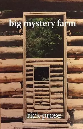 Big Mystery Farm cover