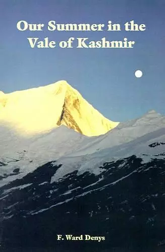 Our Summer in the Vale of Kashmir cover