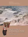 Excavations at Cerro Azul, Peru cover