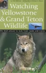 Watching Yellowstone & Grand Teton Wildlife cover
