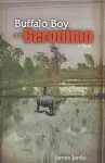 Buffalo Boy and Geronimo cover